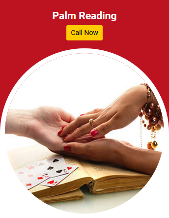 Kailash Nath Swami – Best Astrologer in India