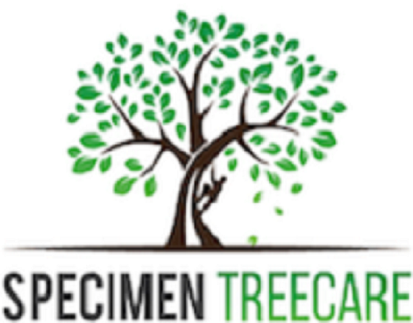 specimentreecare