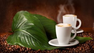 Wholesale Coffee Suppliers Melbourne
