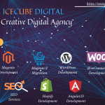 Icecube Digital